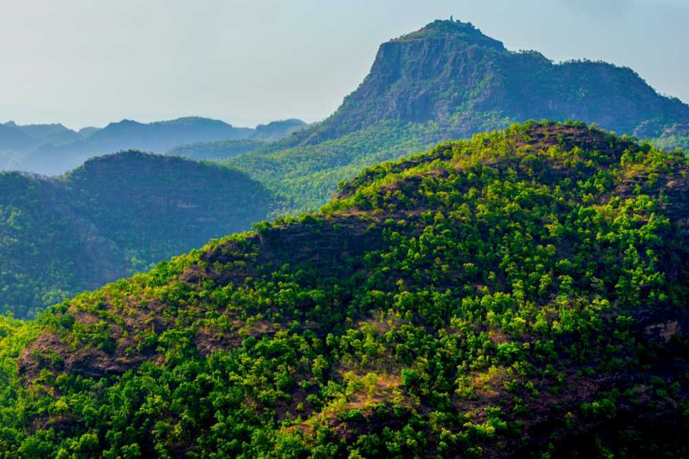hemant_bheel_07's tweet photo. INDIA WITH BUXWAHA FOREST
 we want forest and nature not diomond,🙏🙏🙏🙏😔😔 https://t.co/H8c5P6W4l5