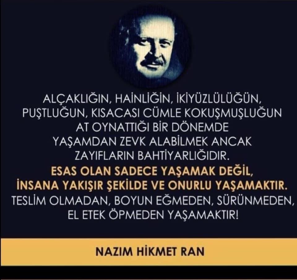 Birol toluk (@biroltoluk) on Twitter photo 