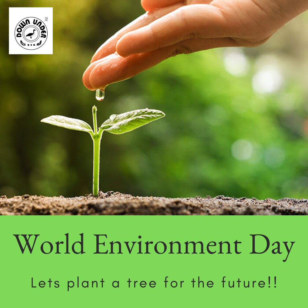 BeddingUnder's tweet photo. Hello Folks!
Happy World Environment Day!!
Want to live happily forever preserve biodiversity.
Check out the below link to see our eco-friendly Bedding Collections:
https://t.co/LUMk78YxvL
#WorldEnvironmentDay2021 #EarthDay #saveearth #beddingstore #downunderbedding #shopnow https://t.co/dP5LJ75KwA