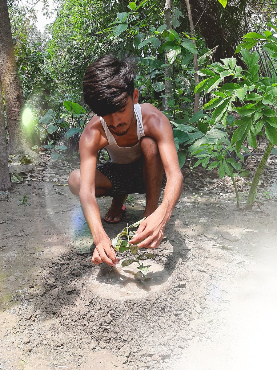 bihariclassy's tweet photo. #WorldEnvironmentDay2021
#WorldEnvironmentDay
@moefcc
#MOEFC https://t.co/Ccj8woACVR