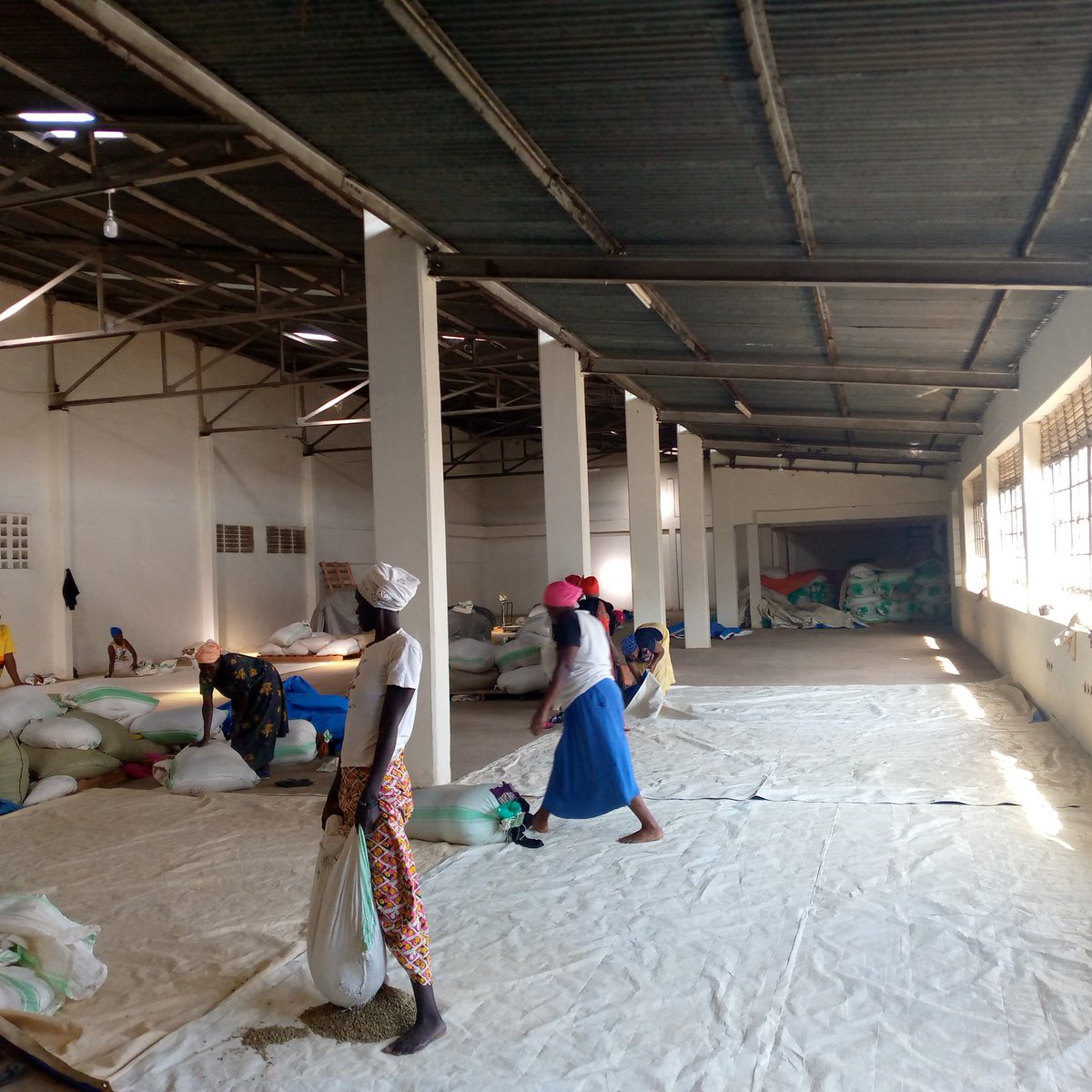 Mt Elgon Agroforestry Communities Coop Ltd tweet media