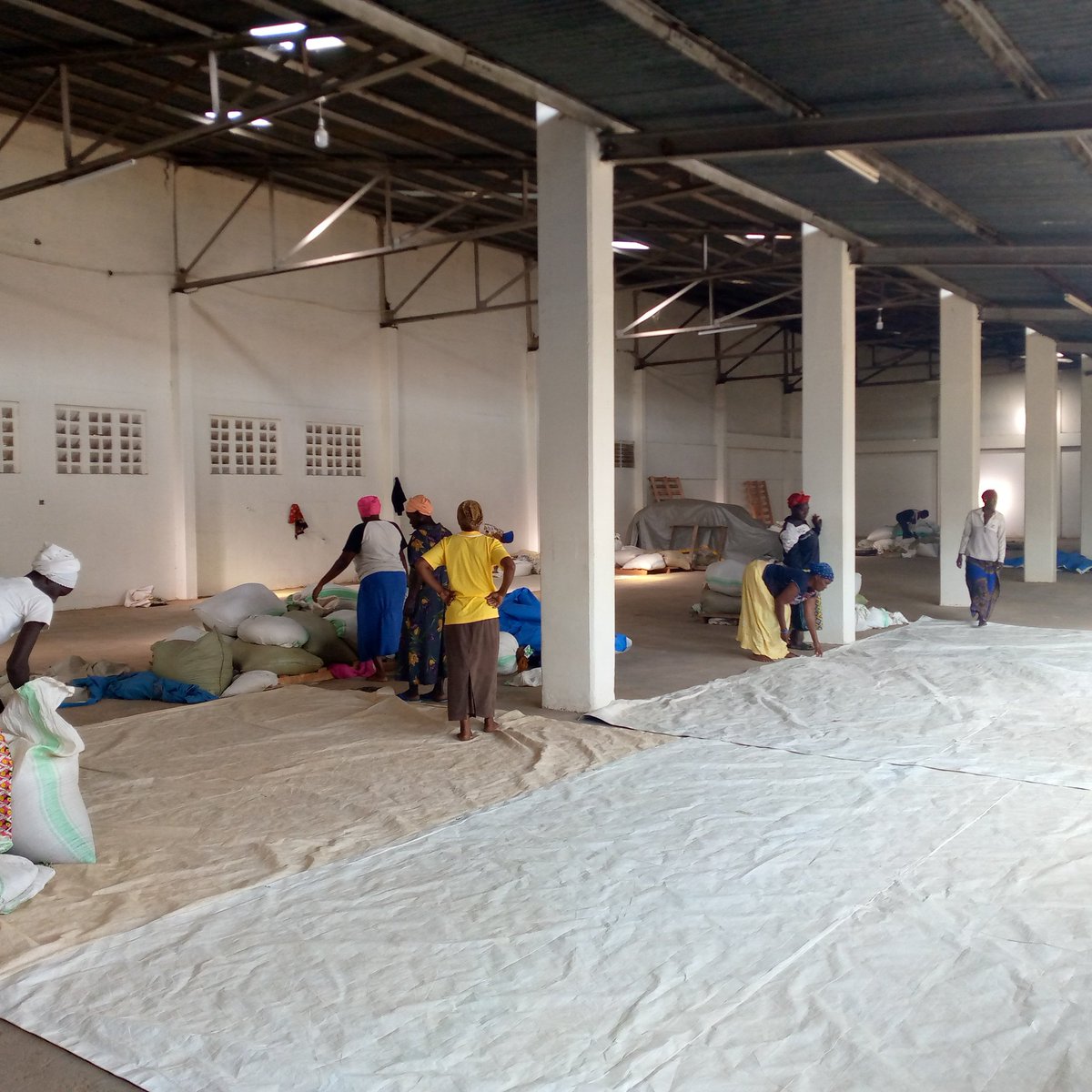 Mt Elgon Agroforestry Communities Coop Ltd tweet media