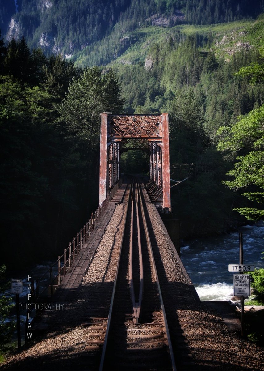 papolaw's tweet image. One of the best decisions I've made so far was to take a 2 day train ride going West. 
#WashingtonState #trainbridge #PacificNorthwest #outdoors #TravelTheWorld #GoWest #WelcomeToWashington #ThePhotoHour #fotografía #YourAwesomePics #PhotoOfTheDay #Amtrak #TwitterNatureCommunity