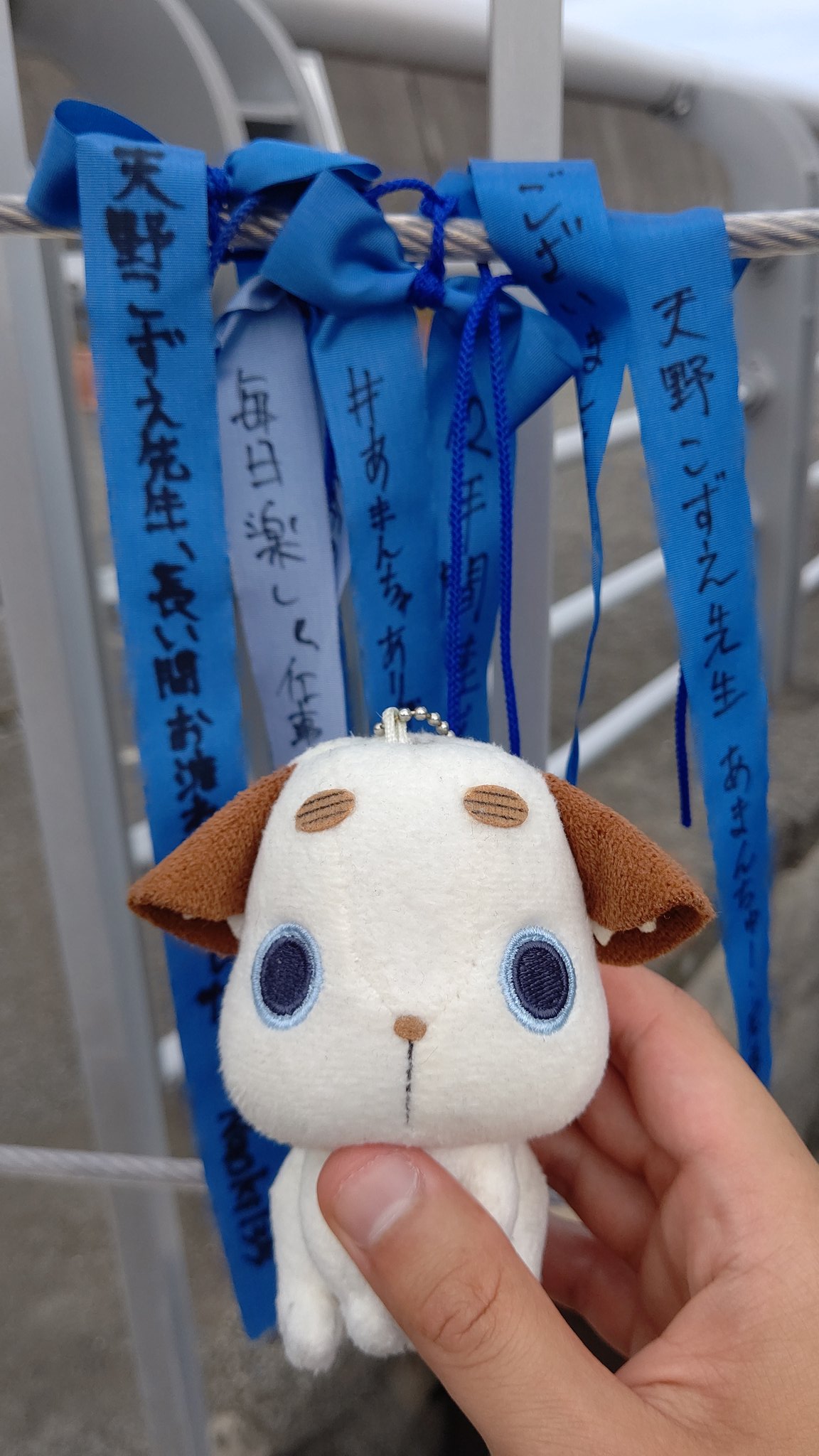 Naoki135 Crepuscolo あまんちゅありがとうリボン とちゃ顧問 T Co Q85nmwkynm Twitter