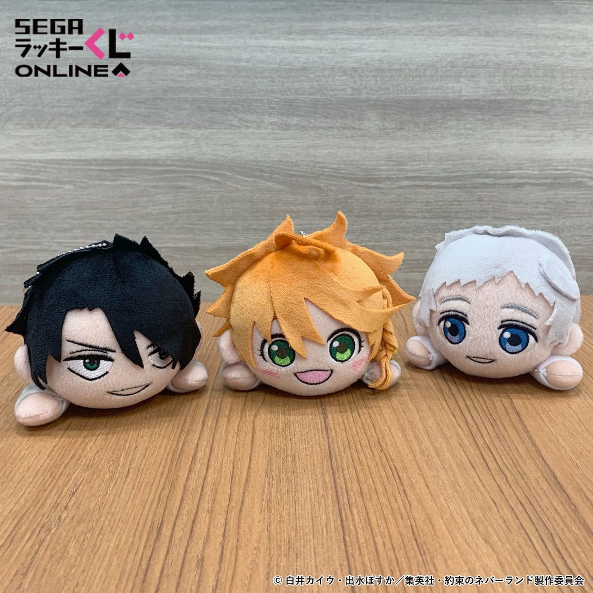 約束のネバーランド レイ ぬいぐるみ E3GNO2PVoAAZxRO.jpg
