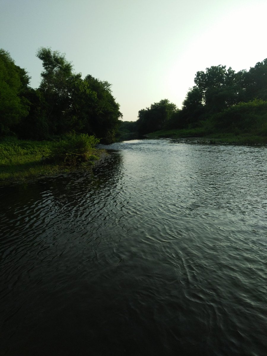 THUNDER57372902's tweet photo. #WorldEnvironmentDay2021 
As I walk with Beauty
As I walk, as I walk,
The universe is walking with me,
In beauty it walks before me,
In beauty it walks behind me,
In beauty it walks below me,
In beauty it walks above me,
Beauty is on every side.

—Traditional Navajo Prayer https://t.co/dWgb8RQSCo