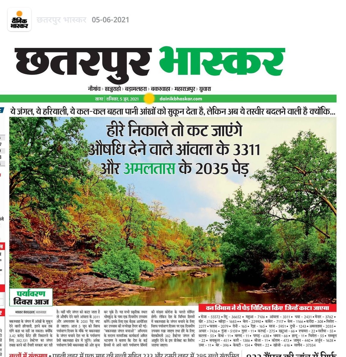 DrRahulRajpoot2's tweet photo. Save buxwaha forest 🙏🙏 
#buxwaha
#saveforest
#narendramodi
#ABVPForEnvironment 
#bundelibauchhar
#savebundelkhandforest
#TreePlantation https://t.co/8mpZk42lex