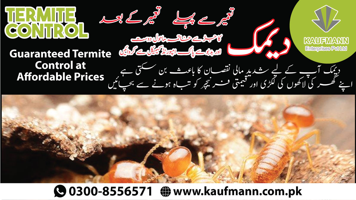 KaufMann Enterprises Pvt. Ltd. tweet media