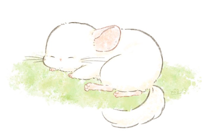 チンチラさんのtwitterイラスト検索結果 チンチラさんのtwitterイラスト検索結果