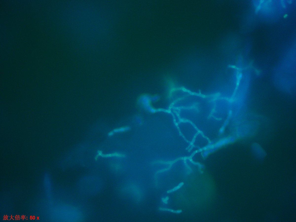 徐和平 Heping XU tweet media