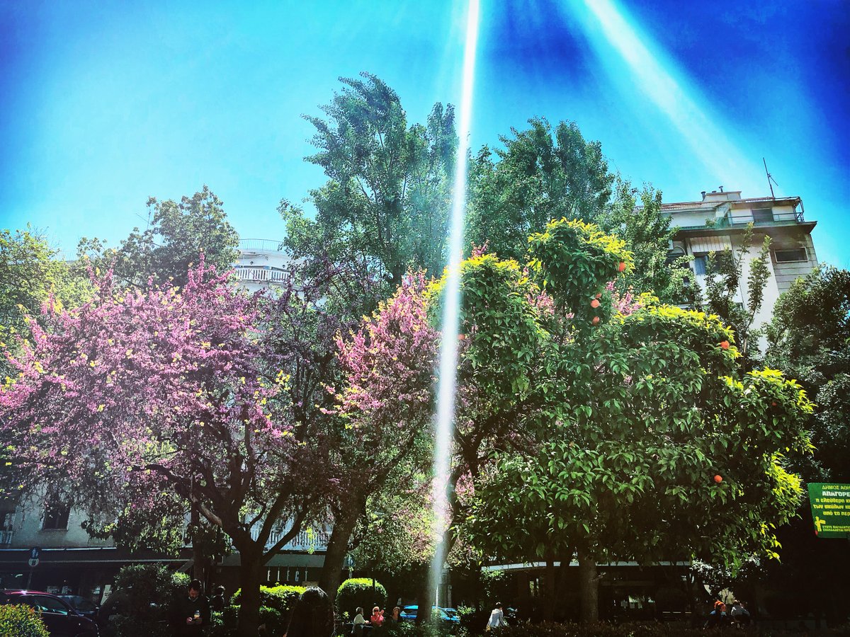 🦋 #WorldEnvironmentDay2021 
Time to:
🍃Reimagine
🌼Recreate
🌲Restore
🐝A plethora of environmental projects have been implemented in #Greece through the <a href="/EEANorwayGrants/">EEA and Norway Grants</a> 
🔗Find out more here: bit.ly/3wStfsm
#workingtogether #eeaGrantsGR <a href="/norwayingreece/">Lajla Brandt Jakhelln</a>