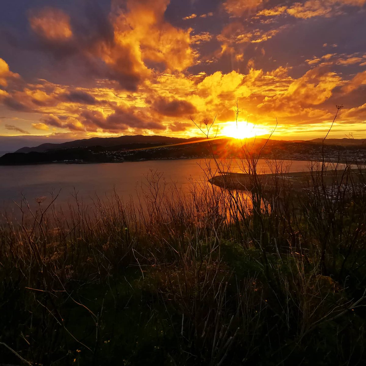 WildBayNZ's tweet photo. Having the frustrations of the past week blown away by the wind at Moa Point while the colours of the sunset brightens up the evening sky.
@WeatherWatchNZ
#MoaPoint #Sunset #SouthCoast #CookStrait #WeatherWatch https://t.co/J6XryfoXKp