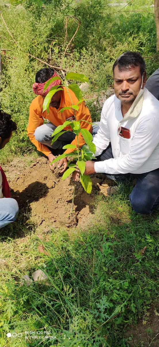 PuVVNL Varanasi tweet media