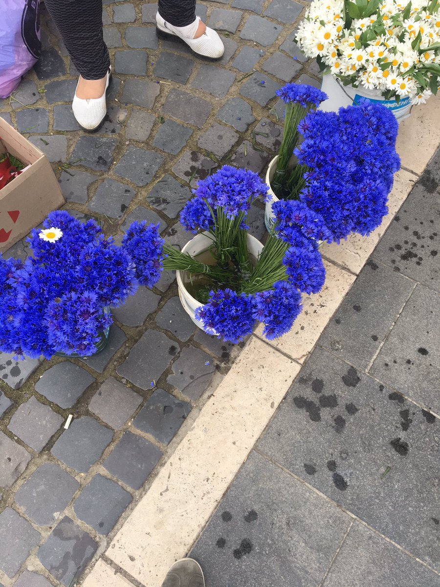 Небо на землі