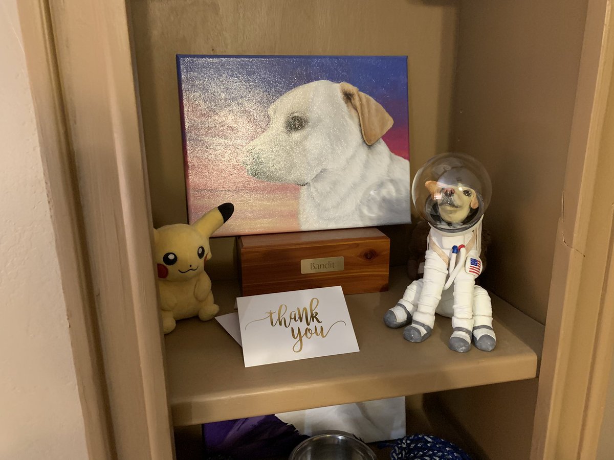 My brother Chance’s sculpture is being started in a couple of days. His Sculpture will join mine and Outlaws on my memorial. If you have some spare time, please check out AmandaCondaCreates on Twitch. See does amazing work! ❤️🐶🙂 #dogsoftwitter #dogs #artistsontwitter #Twitch