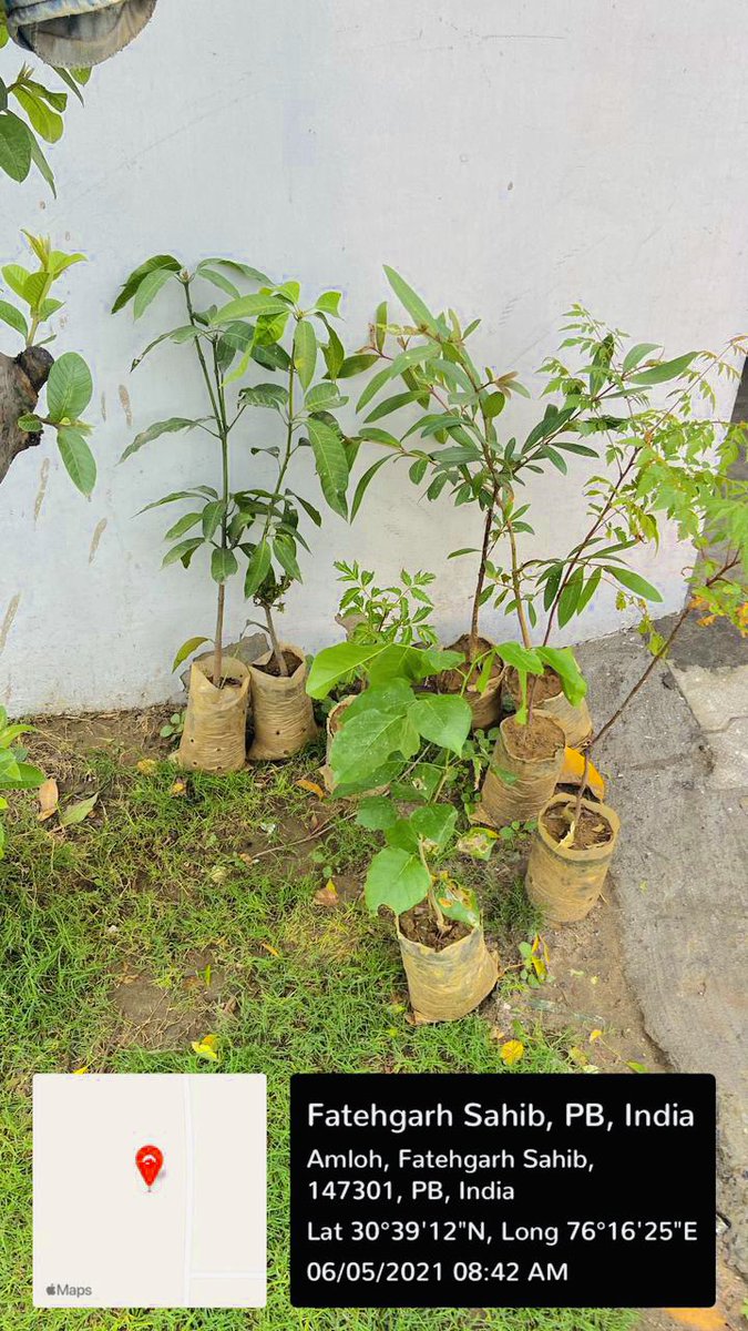 officialwraich's tweet photo. Celebrated #WorldEnvironmentDay with the theme “Reimagine. Recreate. Restore." highlight the importance of ecosystem restoration“”.#WorldEnvironmentDay2021 #environment #GPC #gpcalumnisocialwelfaresociety #mandigobindgarh #EnvironmentDay2021 #punjab #Reimagine #Recreate #Restore https://t.co/lFuRrmPYgn