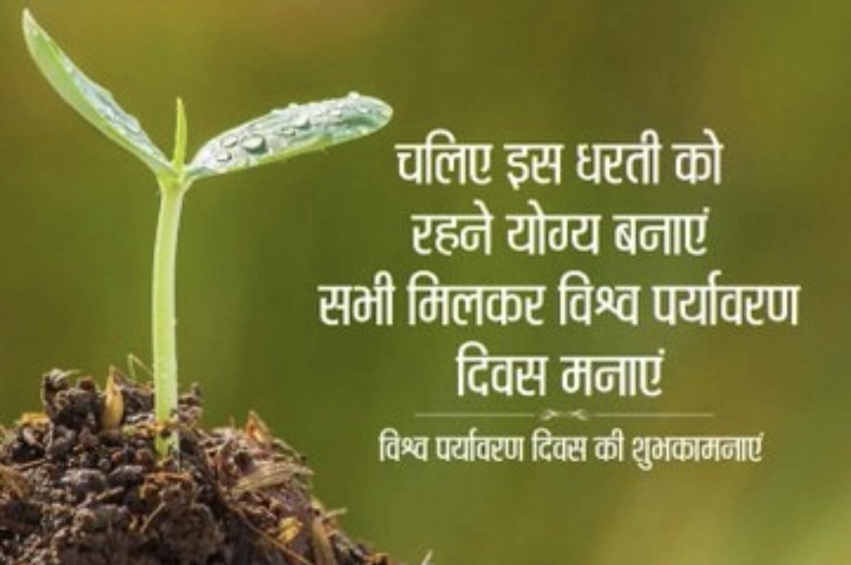 JmmJharkhand's tweet photo. इस जमीन का एक-एक कण हमें पूज्य है।
पेड़ों का एक-एक पत्ता, हरेक रेतीला तट,
शाम के कोहरे से ढंका हुआ जंगल,
सपाट मैदान और भौरों का गुंजन,
ये सभी पवित्र हैं, पूज्य हैं।
हम आदिवासियों की यादों और जीवन से बंधे हैं।
ये पेड़ अपनी रगों में
हमारी अतीत की यादें संजोए हुए हैं।
यहाँ के 1/2 https://t.co/fC6Ju7HcFS