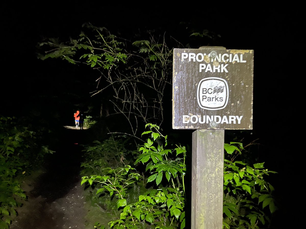 daniel everett goddard (@lonewolfdisco) on Twitter photo 