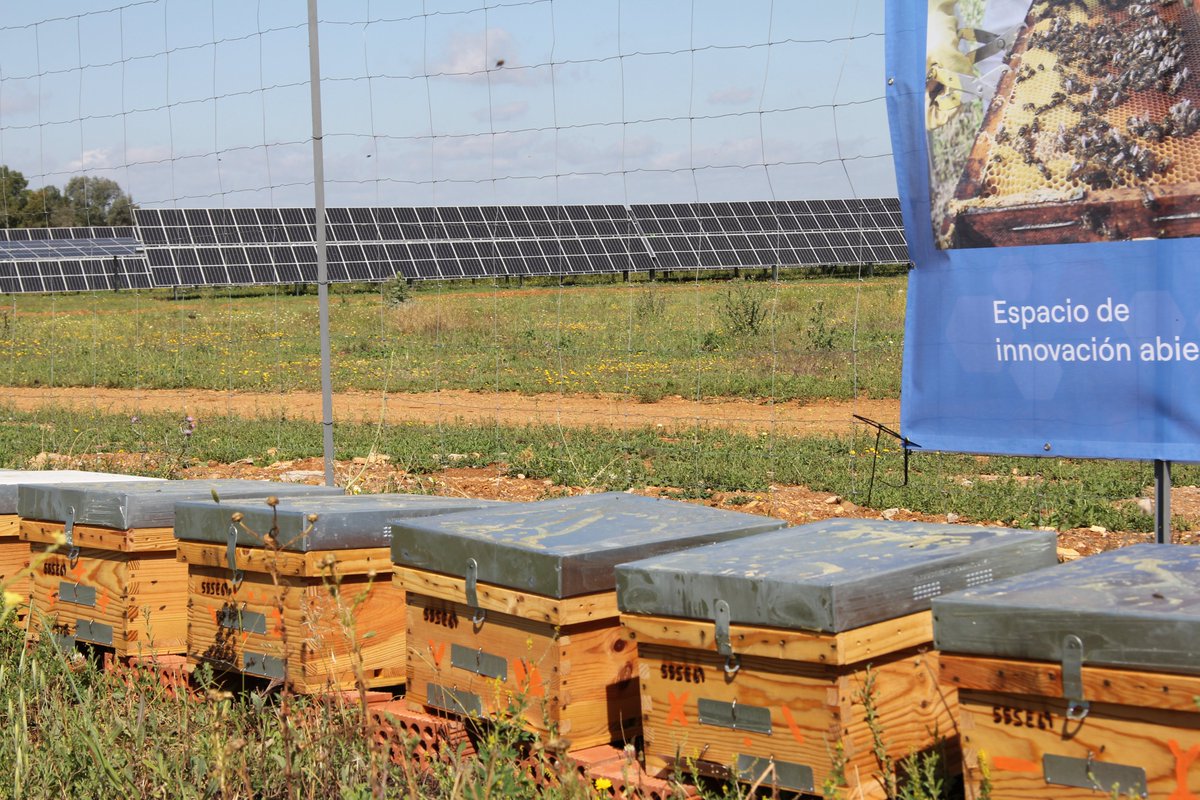 Endesa's tweet photo. ¡La colaboración es imprescindible en los retos medioambientales!🐝 

Para desarrollar esta iniciativa empresas como SmartBee y @protofy_xyz, nos han ayudado aportado soluciones basadas en la #innovación al proyecto👉Colmenas inteligentes.

#DiaMundialDelMedioAmbiente https://t.co/PvD3L1Dldp