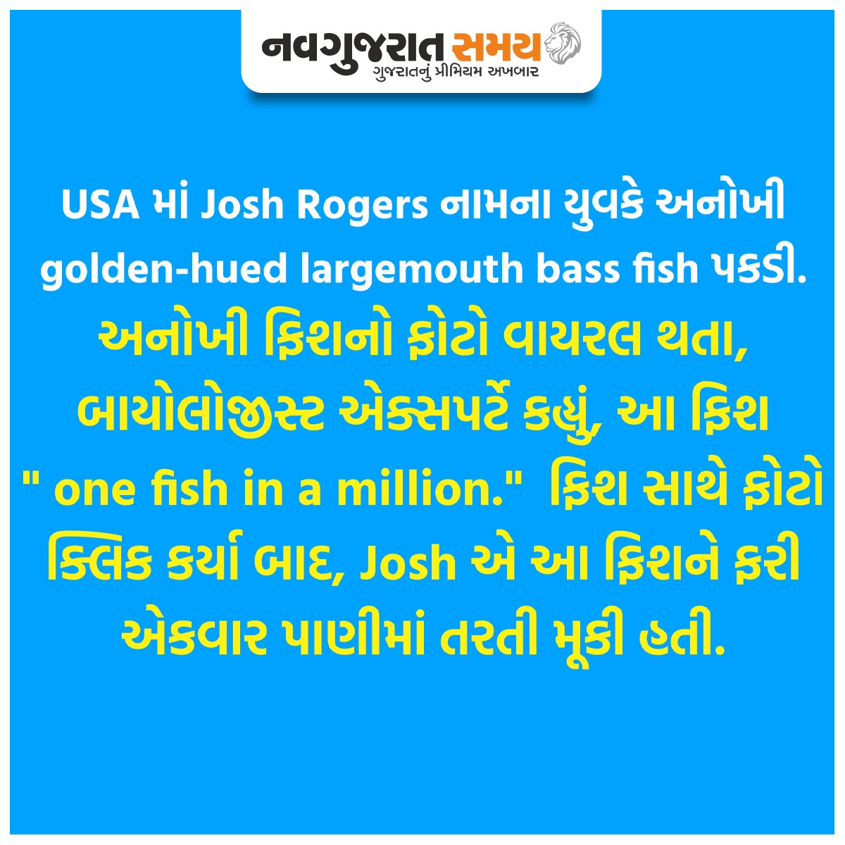 navgujaratsamay's tweet photo. Man catches 'one in a million' golden largemouth bass fish in US
#fish #sea #beach #ocean #goldenhuedlargemouth #expensivefish #fishmarket #food #news #breakingnews #navgujaratsamay #navgujaratsamayofficial #gujarati #gujaratinews https://t.co/wKUsQI48pG