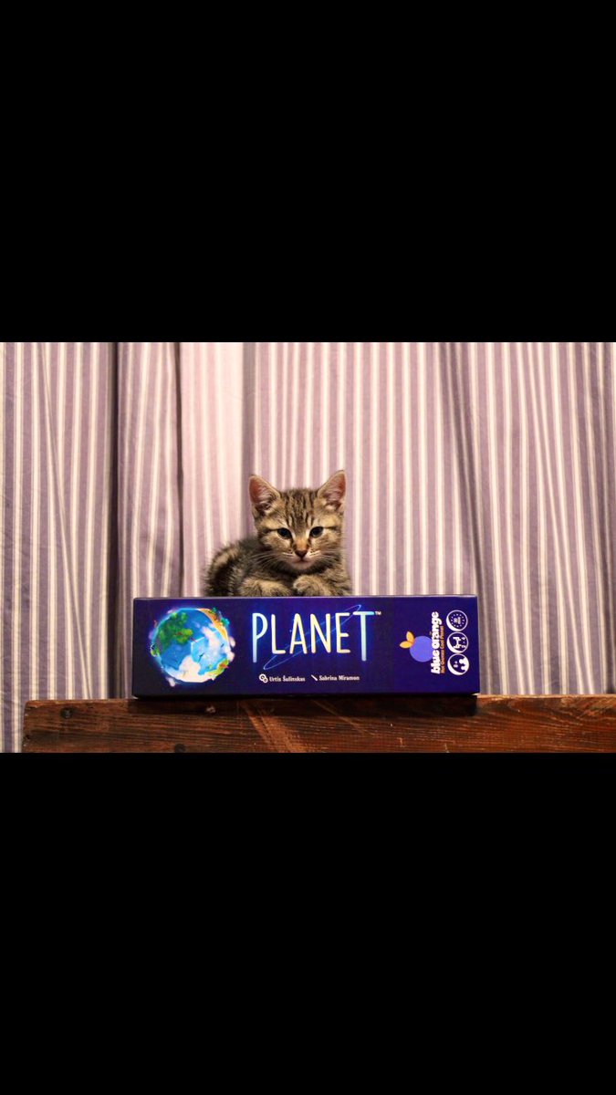 Caturday morning plans sorted 😎<a href="/BlueOrangeGames/">Blue Orange Games</a> #blueorangegames #savetheplanet #planet #caturday #CatsOfTwitter #kittensoftwitter #boardgames #kitten