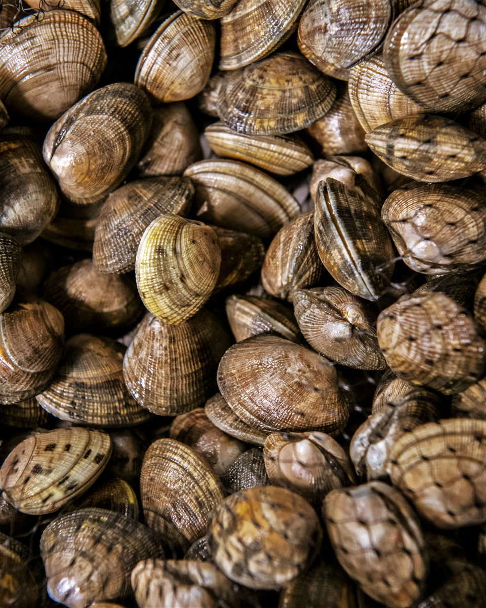 Sankey's Fishmongers tweet media