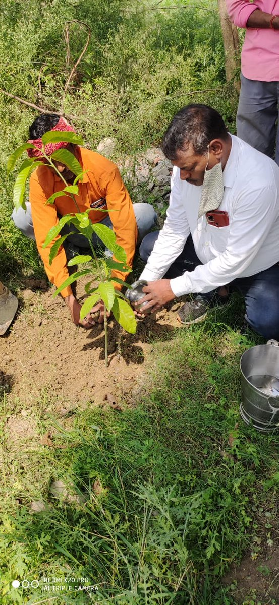 IiVaranasi's tweet photo. आज विद्युत वितरण द्वितीय में 33/11 लाल पुर   वाराणसी में पौध रोपण किया गया । https://t.co/3JOwDPlPPr