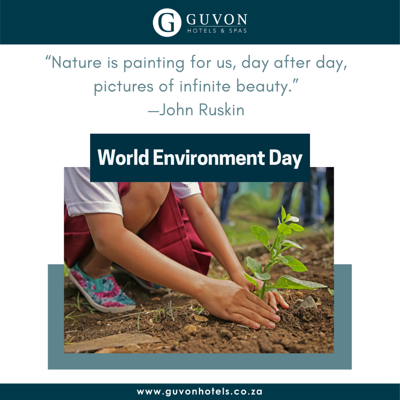 It's World Environmental Day

"This is our moment. We cannot turn back time. But we can grow trees, green our cities, rewild our gardens, change our diets and clean up rivers and coasts."

Find out more:
worldenvironmentday.global

#GuvonCares #GenerationRestoration #GuvonHotels