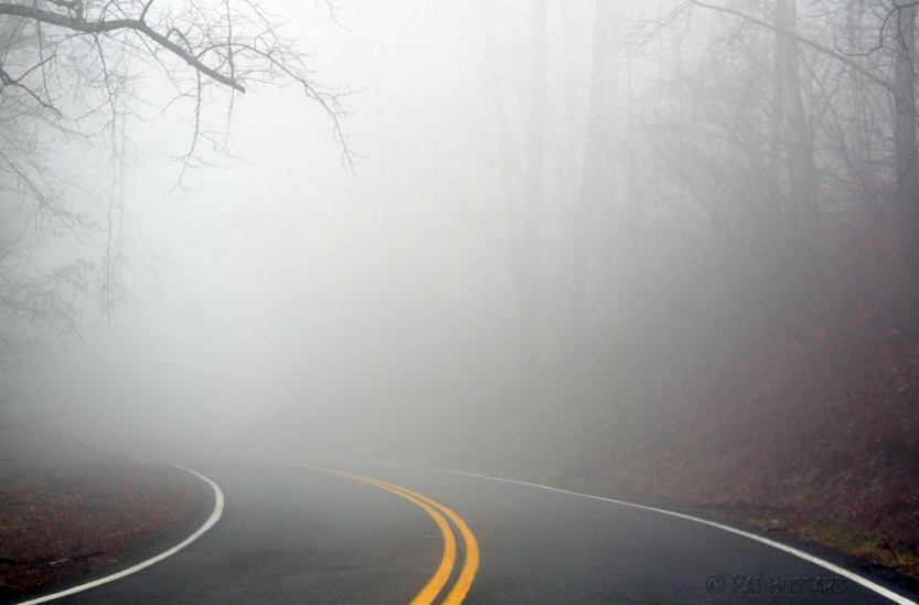 BOM_SA's tweet photo. Showers, low cloud and fog will make road conditions dangerous about the Adelaide Hills late Saturday evening and Sunday morning. A Road Weather Alert has been issued. Please take extra care on the roads. Latest warnings at https://t.co/nGKGErgXLb https://t.co/9G5VLSwijH