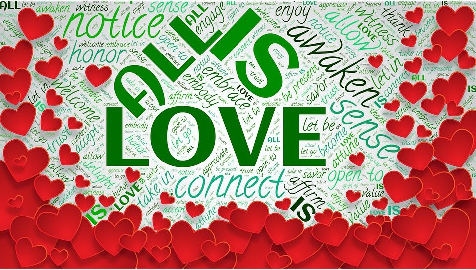 Amrita Mitroo (@authoramritami1) on Twitter photo 