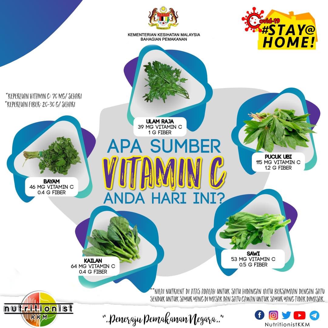 2020 piramid makanan siapakah bagi kumpulan sasaran malaysia