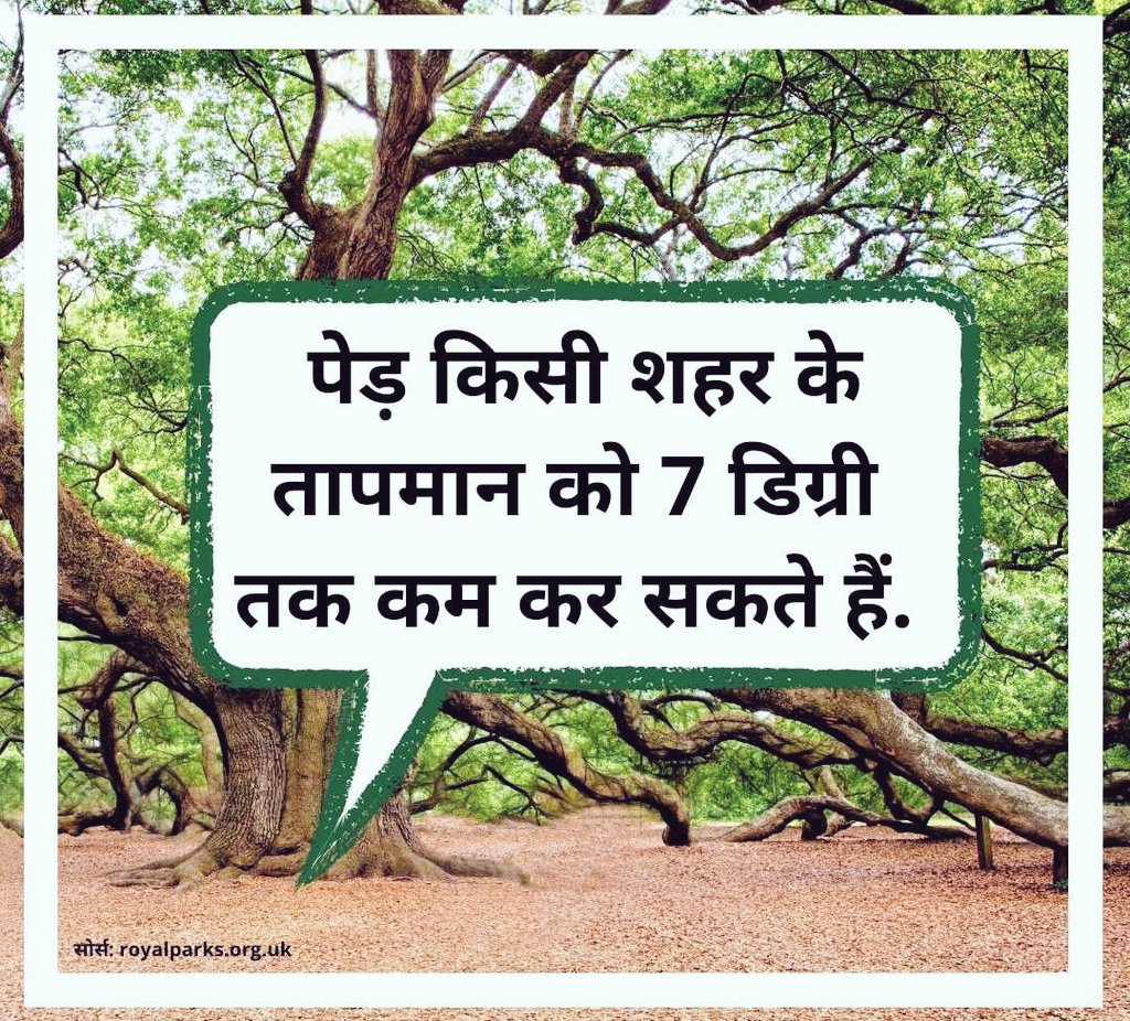 youmeens's tweet photo. Think your Environment......Do something for it whatever you can....
#EnvironmentDay2021
#SioWithEnvironment https://t.co/0RZLIt9uu3