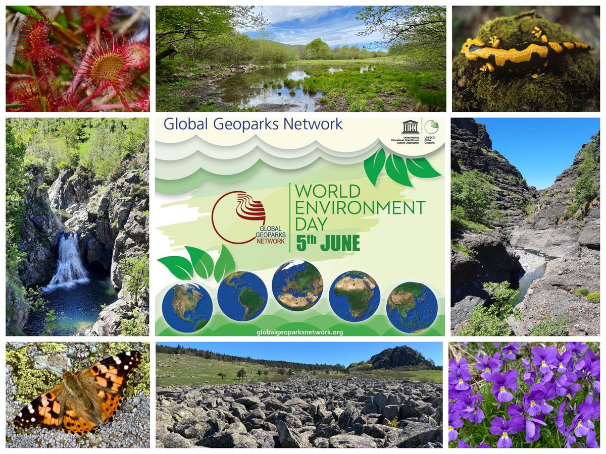 5 giugno - Giornata mondiale dell'ambiente, per il ripristino degli ecosistemi.
Proprio una delle nostre missioni: tutelare l'ambiente anche con interventi di riqualificazione, come quello appena ultimato nelle zone umide #Beigua
#WorldEnvironmentDay #GenerationRestoration