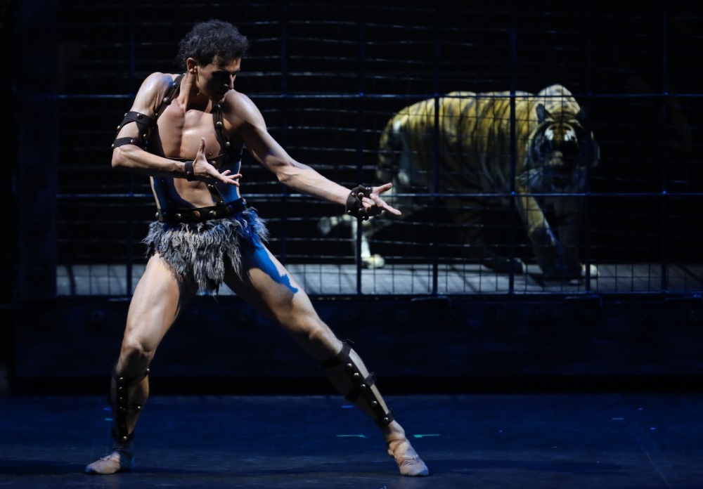 Mikhailovsky_en's tweet photo. The matinee performance for young audience features Ivan Zaytsev in the title role, Valeria Zapasnikova as Valeria, Andrey Kasyanenko as Crassus, Svetlana Bednenko as Sabina, Denis Morozov as Crixus.

Start at 1:00 p.m.

Tickets: https://t.co/lxWM3r81Mz https://t.co/9zlDqJNqZa