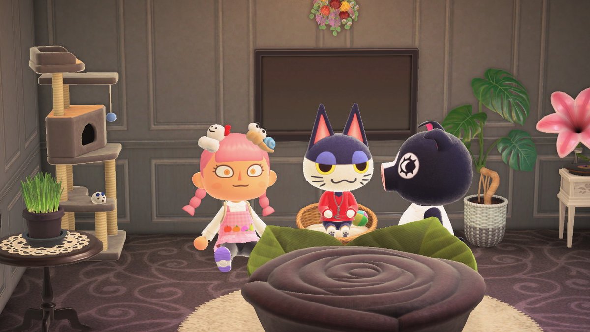 Sibcat_anything tweet media