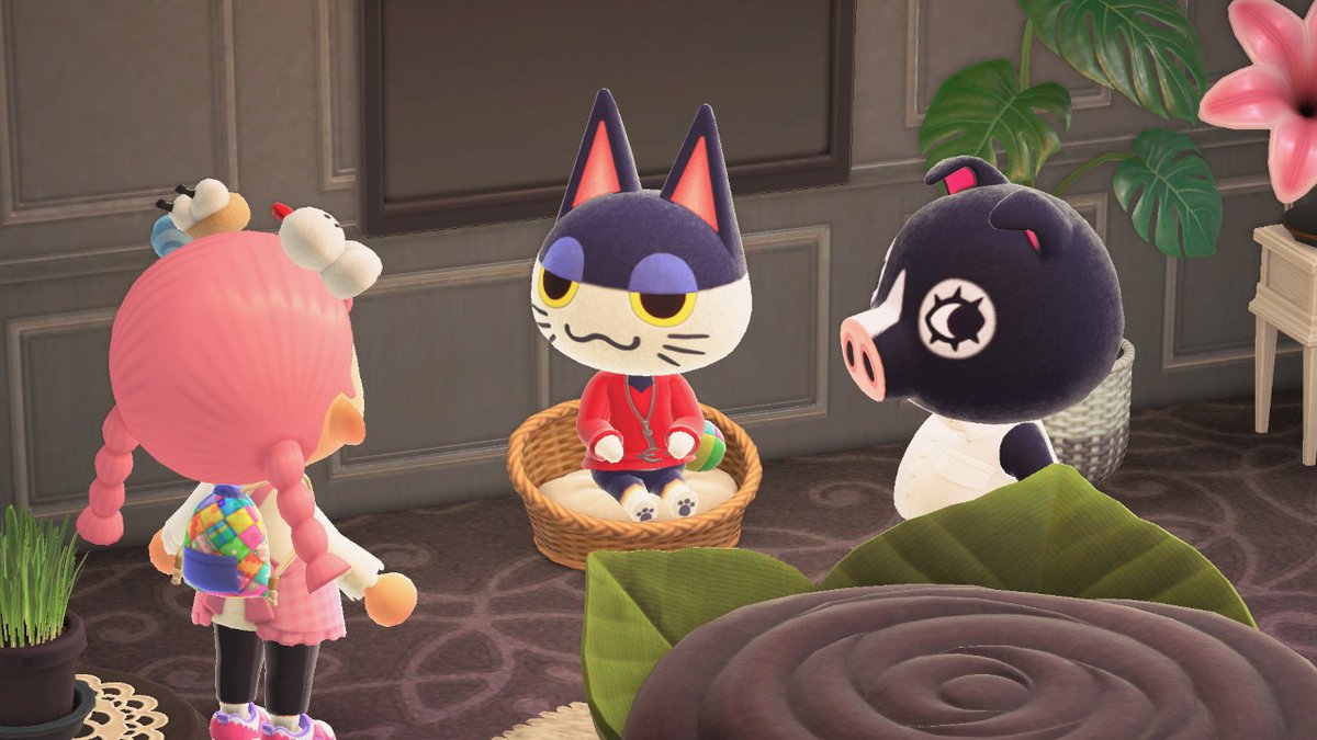 Sibcat_anything tweet media