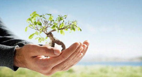 Çevre bize miras değil emanettir. 
Bu emaneti gelecek nesillere bugünkünden daha iyi durumda bırakmanın sorumluluğunu taşıyoruz. 

5 Haziran #DünyaÇevreGünü kutlu olsun.