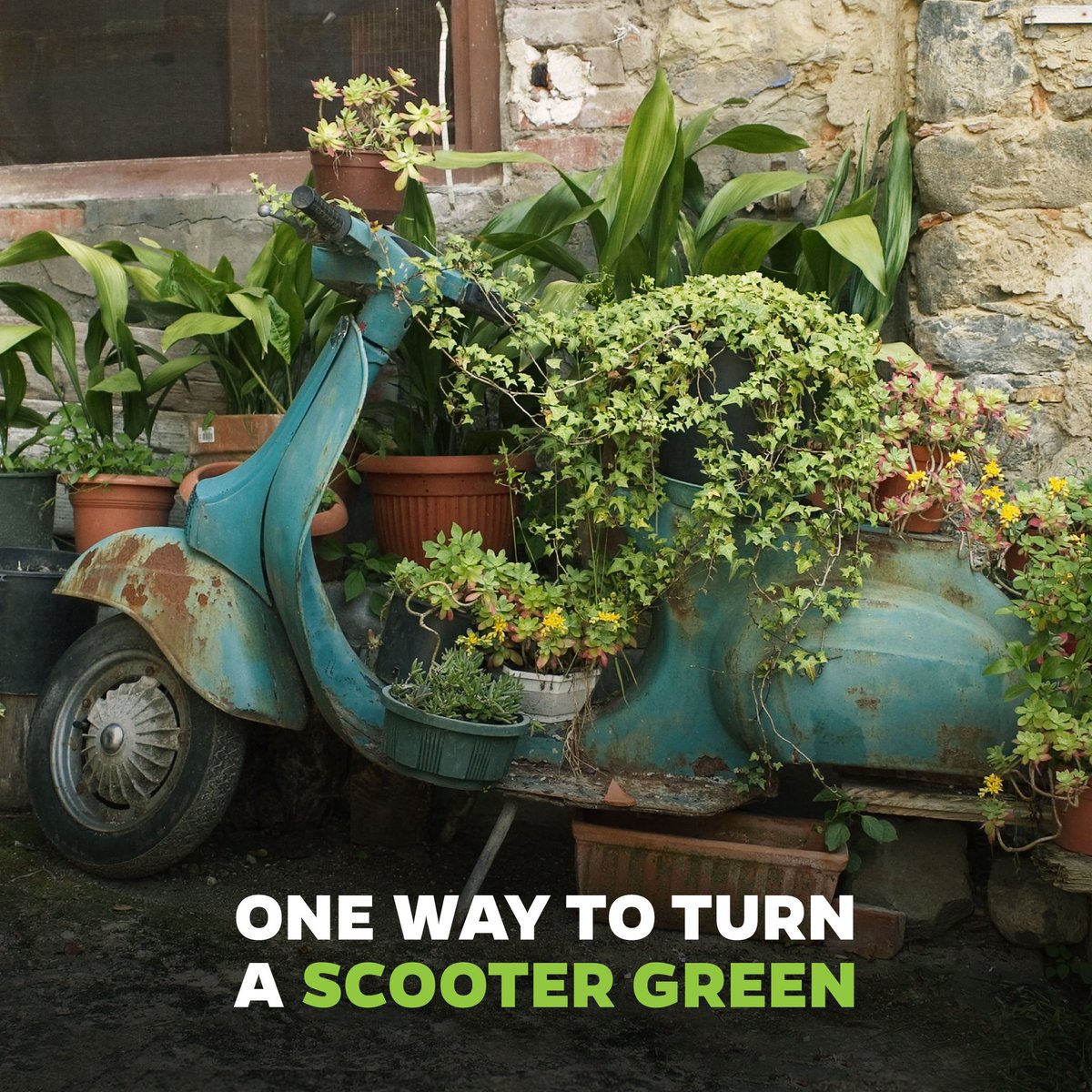 OlaElectric's tweet image. Redefining mobility to make everyday, environment day! 
Launching soon 😎

#WorldEnvironmentDay