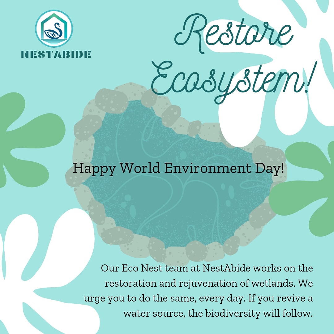 NanmaG's tweet photo. Happy World Environment Day! https://t.co/sZthrbpx9j