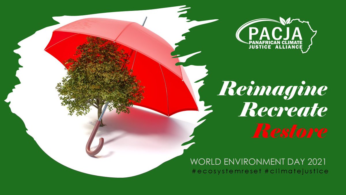SamuelRankosha's tweet photo. @PACJA1 advocates policies that protect our fragile #ecosystems. We believe failure to protect habitats and halt species extinctions would compromise #ClimateJustice and the goals of the #ParisAgreement #ecosystemreset #WED2021 @PACJA1 #Restore https://t.co/ok3Qcn4VAY