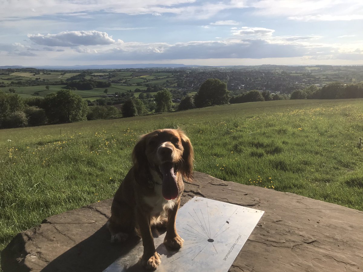 Morning furPals and hoos! #DogsofTwittter #haybluff #bromyarddowns