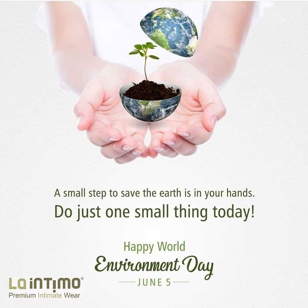 Laintimo69's tweet photo. On World Environment Day let us pledge to provide a better environment to our coming generations by urging people to plant a sapling and nurturing it.
Let us save trees by going paperless and becoming digital.
#worldenvironmentday #worldenvironnmentdayEarth #saveearth #laintimo https://t.co/FDn0qkbvDl
