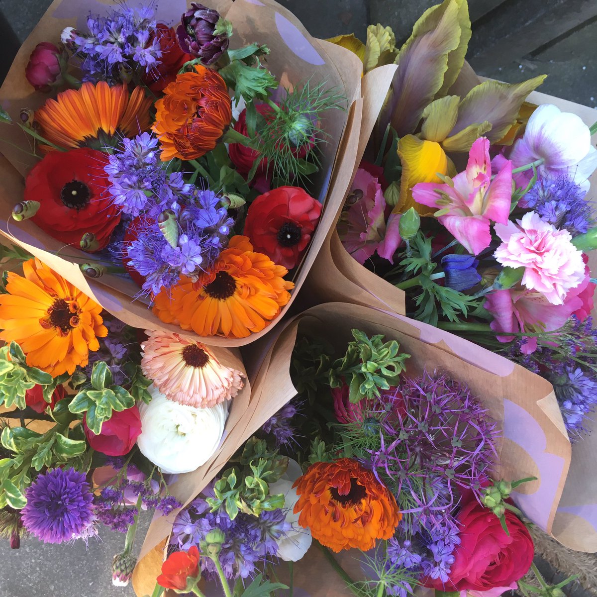 Buzzin' 🐝🌺 tweet media