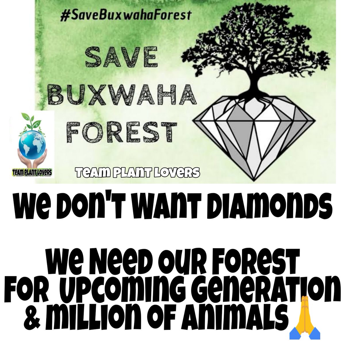 TeamPlantLovers's tweet photo. #SaveBuxwahaForest 

''Trees are vital. Without them, earth would be fatal.''

#PMModi 
#NitishKumar #MPNews #IndiasGreenFuture https://t.co/4gt36QIjOt