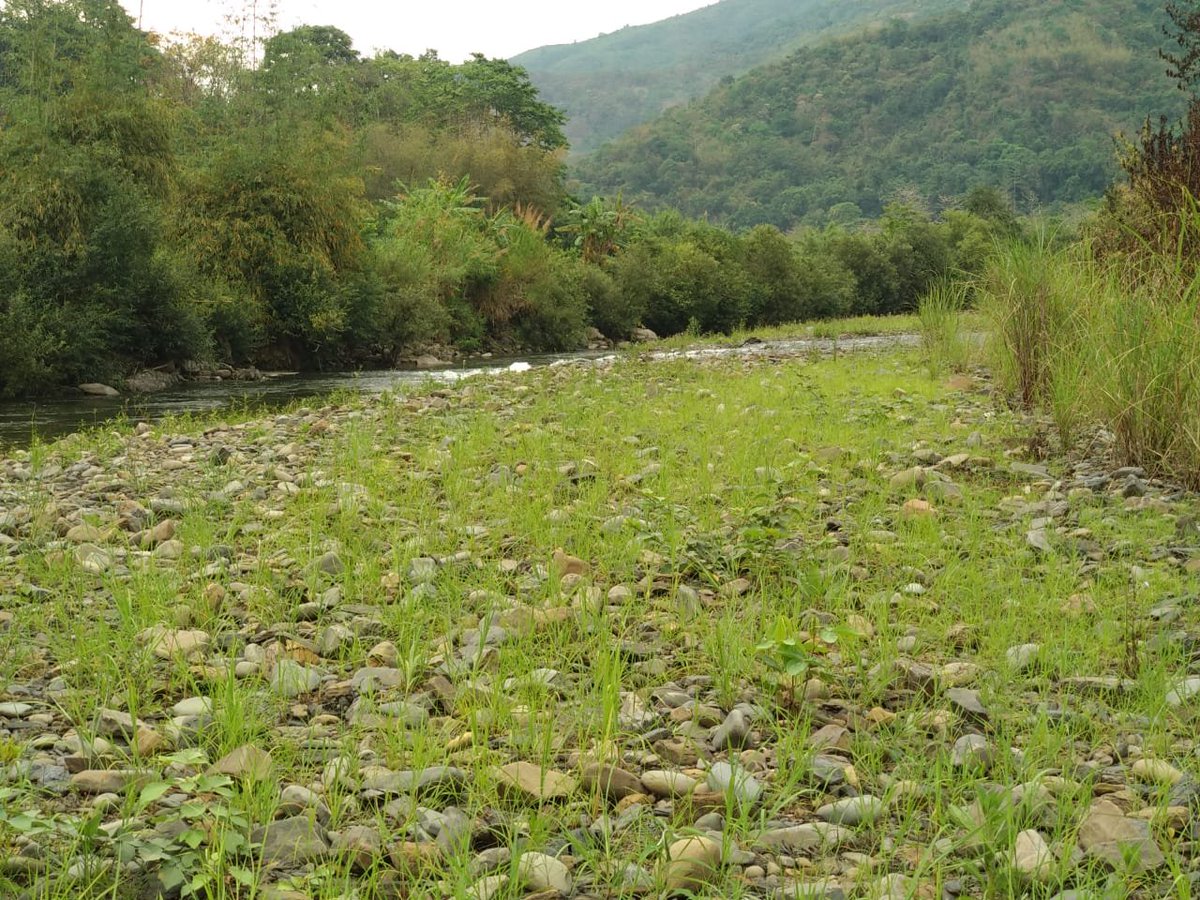iksema007's tweet photo. #WorldEnvironmentDay 
#TizuValleyBiodiversity
#ChenguBiodiversity https://t.co/339PL3wq4E