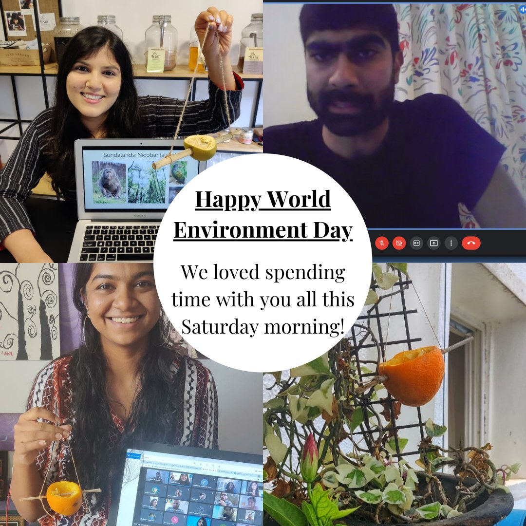 Bare Necessities Zero Waste Solutions tweet media