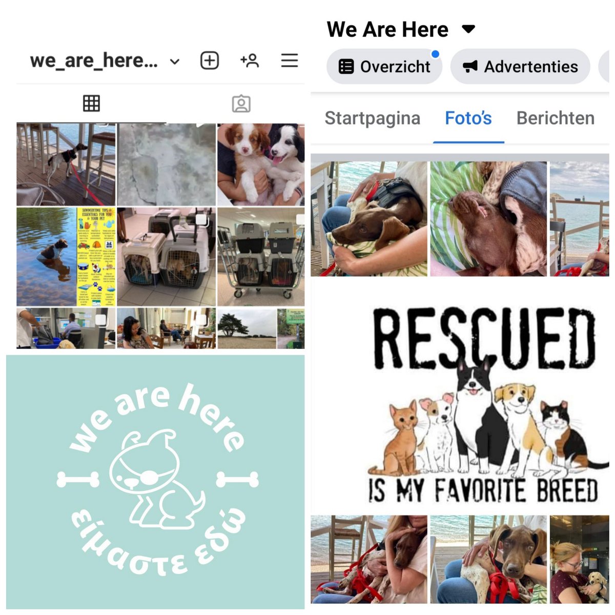 We are here lesvos tweet media