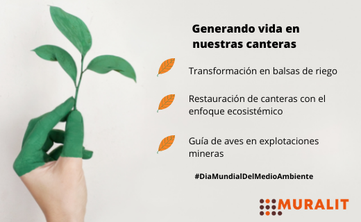MURALIT_'s tweet photo. Hoy, en el #DiaMundialDelMedioAmbiente queremos compartir nuestro nuevo post en #BlogMuralit donde os contamos qué hacen los fabricantes de #Muralit por conservar y crear nuevos ecosistemas en sus canteras de extracción de arcilla

https://t.co/x4345pAeNO https://t.co/tLQTNTMPwD
