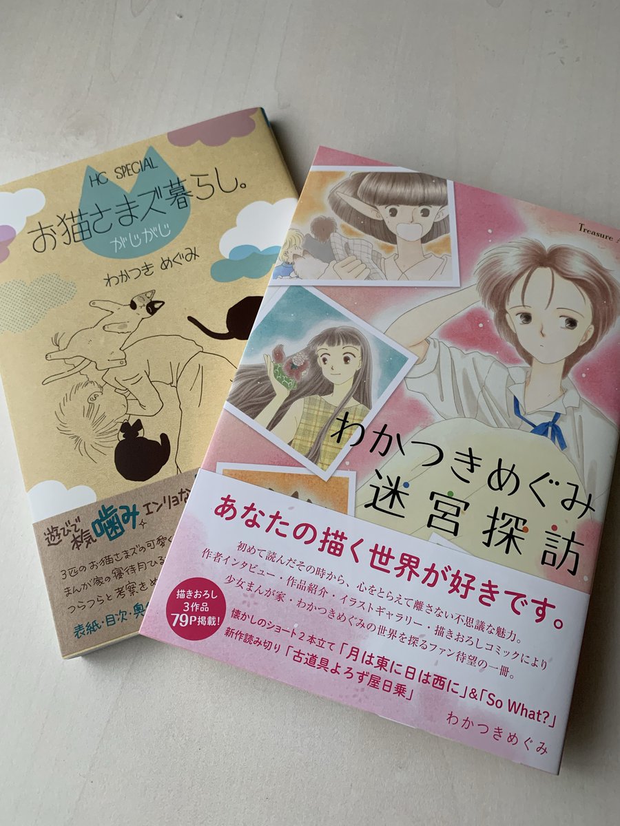 わかつきめぐみ迷宮探訪 Twitter Bilaketa