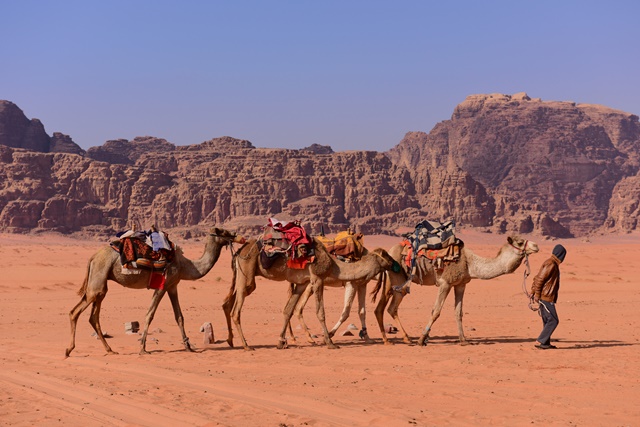 BookingJordan's tweet photo. Camel riding is an authentic and experience to see the beautiful landscape of the Wadi Rum desert. 

#BookingJordan #visitJordan #WadiRumJordan #WadiRum #MyJordanJourney #DesertLife #traveltoJordan #exploreJordan #beautifuldestinations https://t.co/bmtEs0tIi5